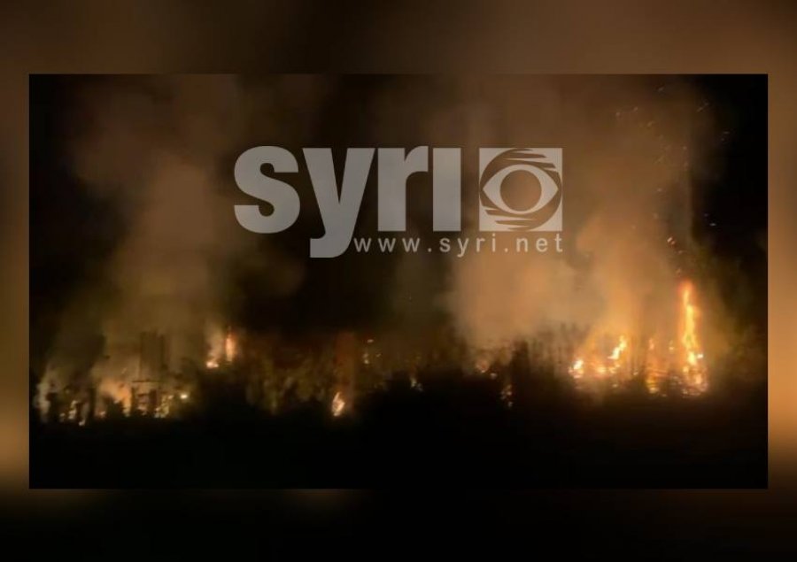 VIDEO/ Përfshihet sërish nga flakët Pylli i Sodës në Vlorë