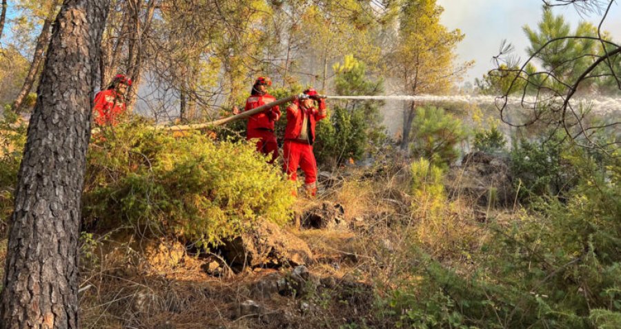 Situata me zjarret/ Ministria e Mbrojtjes publikon të dhënat e fundit: U raportuan 29 vatra në 24 orë, 10 ende aktive