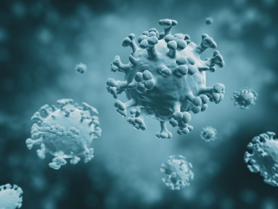 Shkencëtarët propozojnë një mënyrë të re për të parandaluar përhapjen e gripit