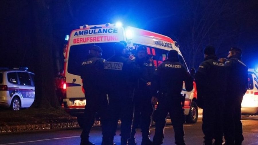 Tri gra vriten me thikë në një bordello të Vjenës, kapet i dyshuari