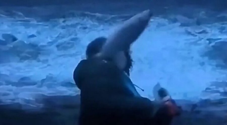 VIDEO/ Gazetari ishte duke raportuar për motin e keq, një peshk e ‘sulmon’ në fytyrë, shihni pamjet virale