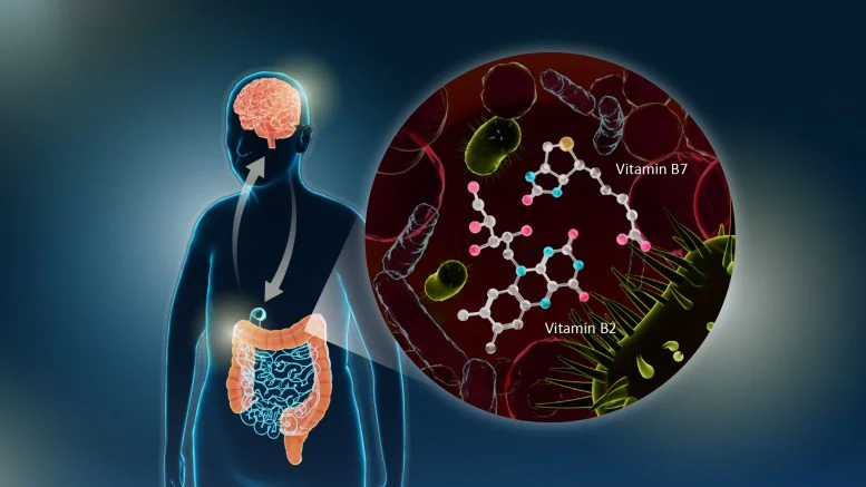 Studimi i ri lidh mungesën e vitaminës B në zorrë me sëmundjen e Parkinsonit