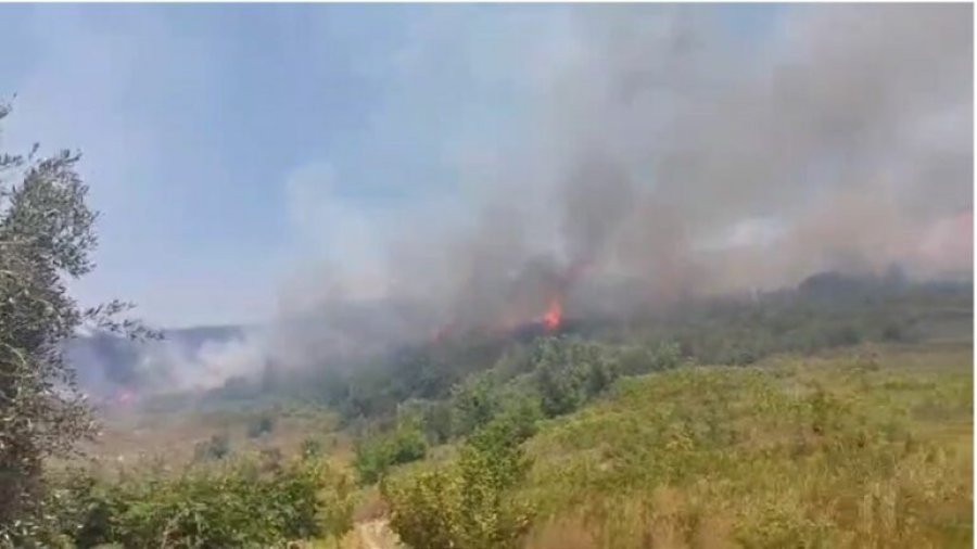 Zjarri në fshatin Frashtan rrezikon banesat/ Kundër flakëve edhe zjarrfikëset e Gjirokastrës