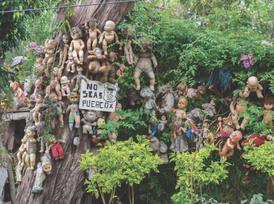 Ishulli i kukullave të vdekura, destinacioni më i frikshëm në Meksikë, historia se si Julian Santana e pësoi nga koleksionimi i lodrave të pushtuara nga shpirtra