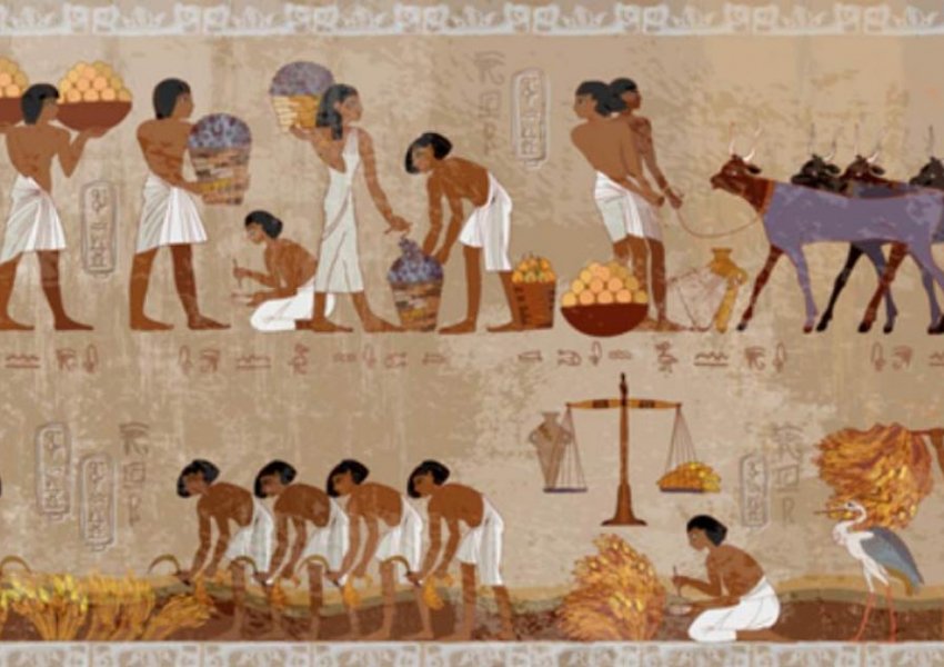 Gjashtë fakte befasuese për skllevërit egjiptianë