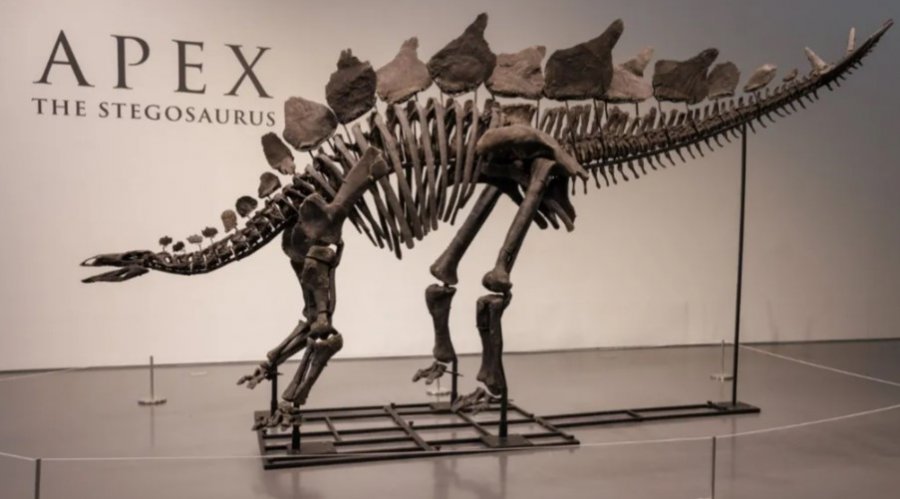 Skeleti i dinosaurit shitet në ankand për shifrën rekord