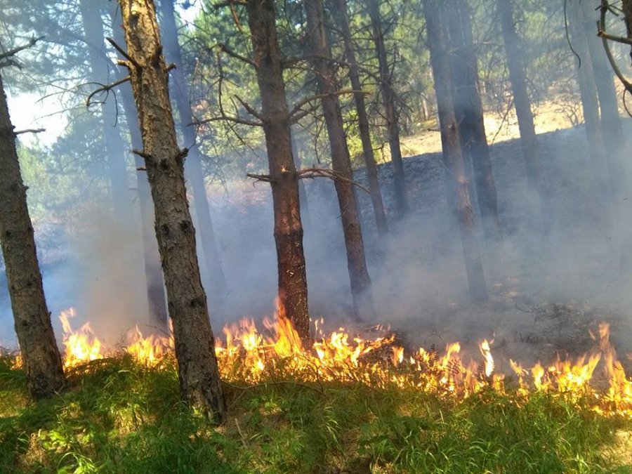 Sinjë/ Disa vatra zjarri aktive, terreni vështirëson shuarjen e flakëve