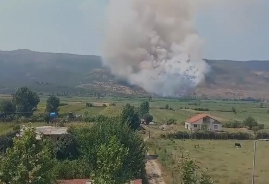 VIDEO/ Lezhë, shpërthen zjarri në malin e Rrencit, flakët i drejtohen banesave