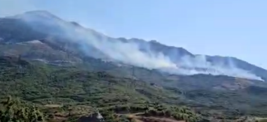 Malet e fshatit Gjorm të Selenices mbulohen nga zjarret masive