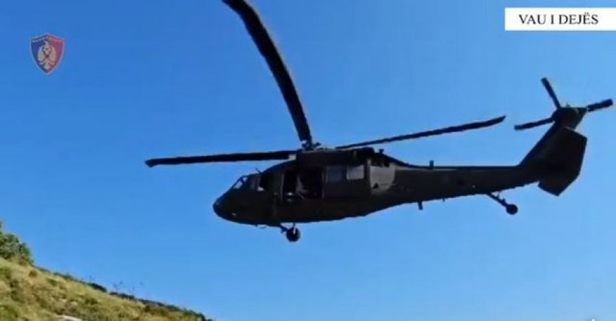 Shqipëria si serë hashashi/ Kontrolle me helikopter, asgjësohen mbi 8 mijë bimë kanabis në Vaun e Dejës