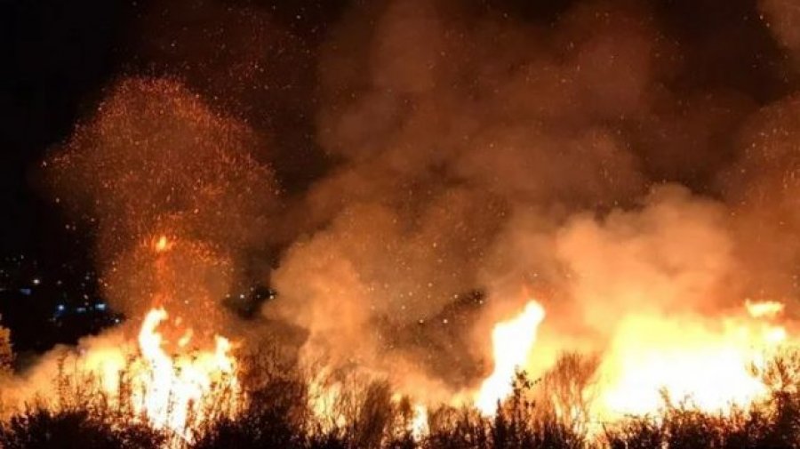 Një vatër aktive zjarri në fshatin Vukpalaj, si paraqitet situata në qarkun e Shkodrës