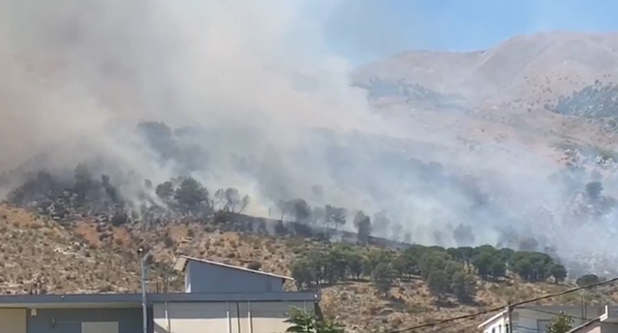 Gjirokastër, zjarr i madh në masivin e pishave