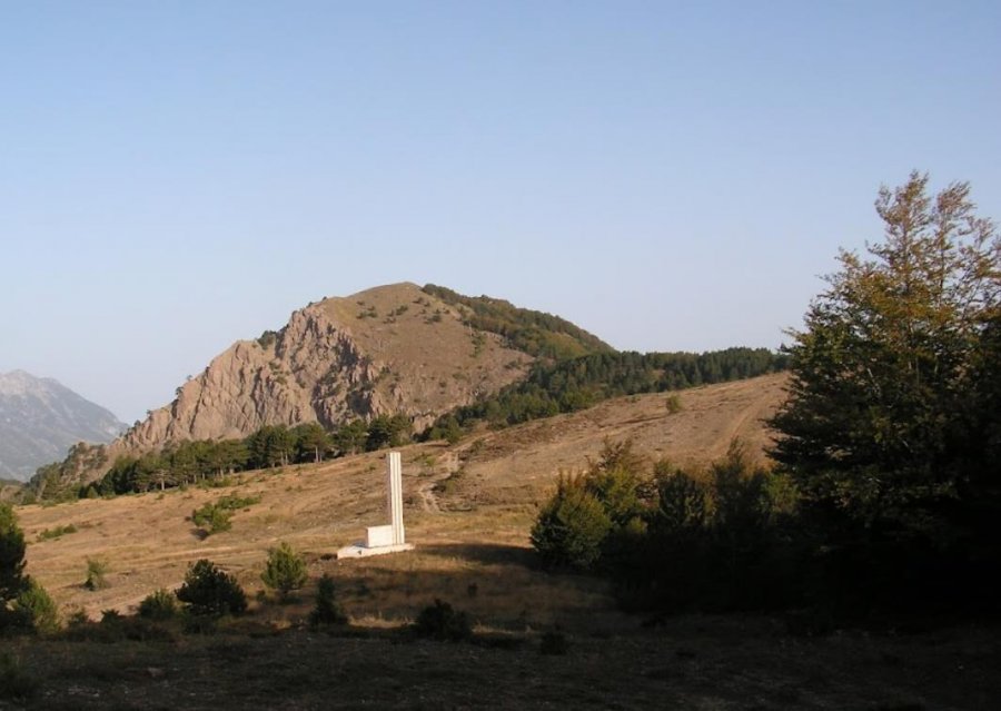 Ngjarja e rëndë, kishte dalë të mblidhte çaj, bie nga Qafa  e Gjarprit