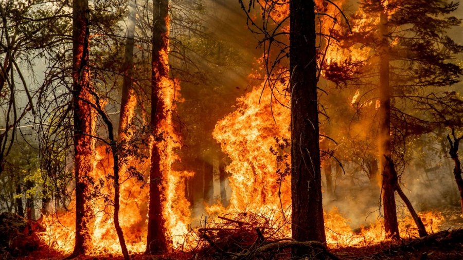 'Mbroni pyjet nga zjarri! - Bashkia e Mirditës, thirrje qytetarëve: Së bashku kundër piromanëve