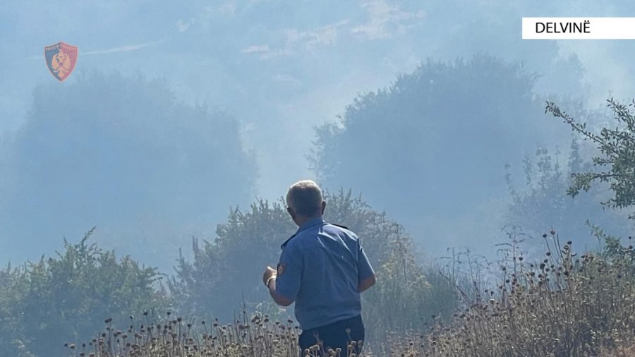 FOTO/ Zjarret në qarkun e Vlorë, arrestohet burri në Delvinë dogji 2300 rrënjë ullinj