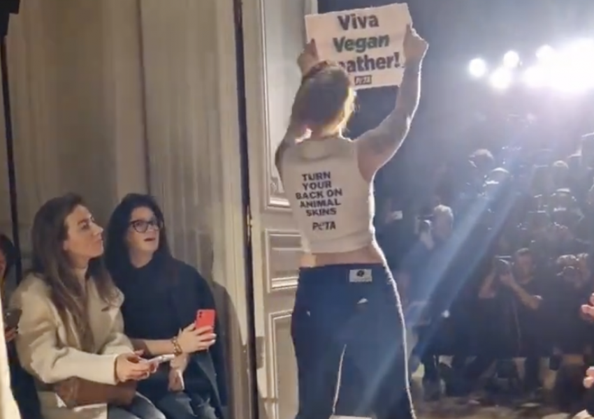 Protestuesit ndërpresin sfilatën e Victoria Beckham: 'Kafshët nuk janë veshje'