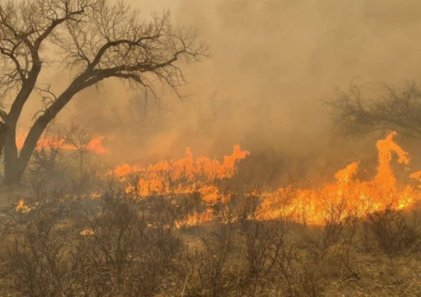 Mijëra bagëti digjen në zjarrin më të madh në historinë e Teksasit 