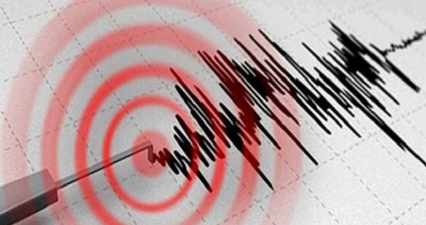 Tërmet në Malishevë
