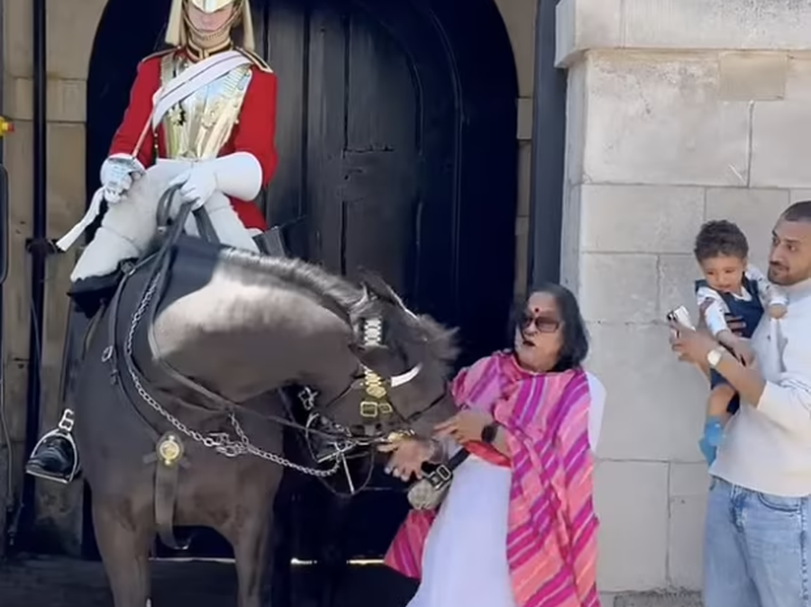 Momenti tronditës kur kali i Gardës Mbretërore kafshon turisten që pozonte për foto