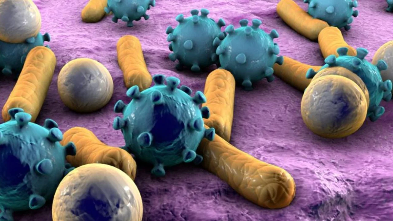 Bakteret e rrezikshme dhe rezistente ndaj antibiotikëve, OBSH publikon listën