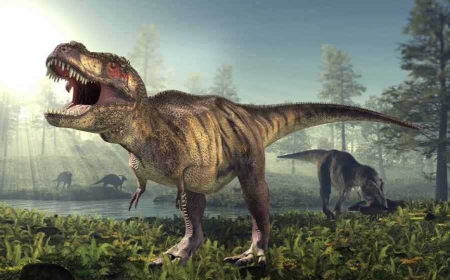 Disa dinozaurë kishin luspa dhe pupla si avantazh evolucionar