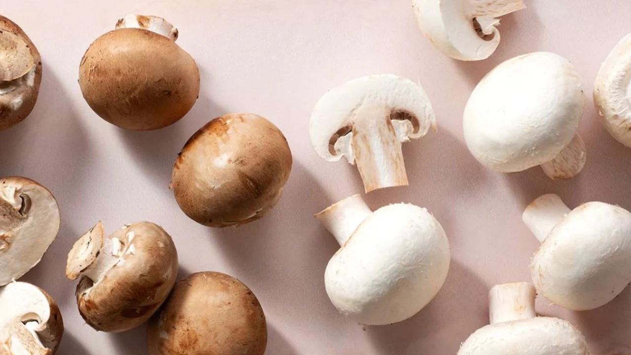 Kur ka filluar konsumimi i kërpudhave si ushqim?