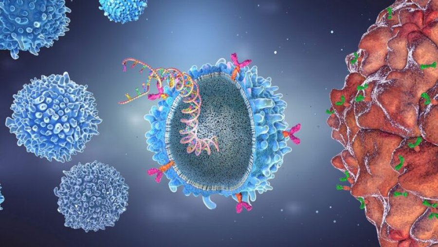 CAR-T, një trajtim inovativ për kancerin dhe një opsion për ata që nuk reagojnë ndaj dy ose më shumë trajtimeve të kancerit