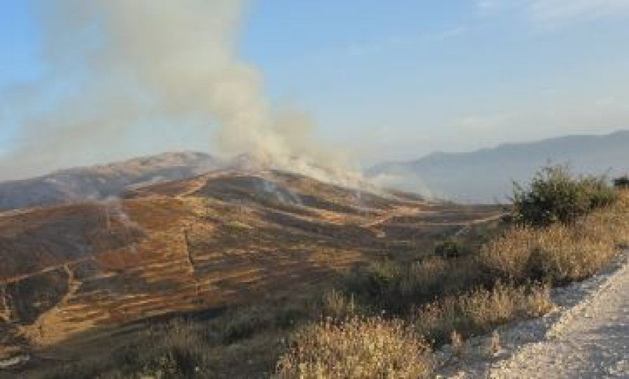 Zjarri përfshin malin e Shashicës, digjen hapësira të konsiderueshme pyjore