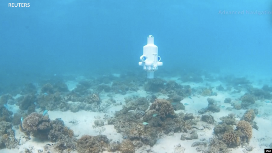 Dron nënujor për të studiuar brezin masiv koralor të Australisë 