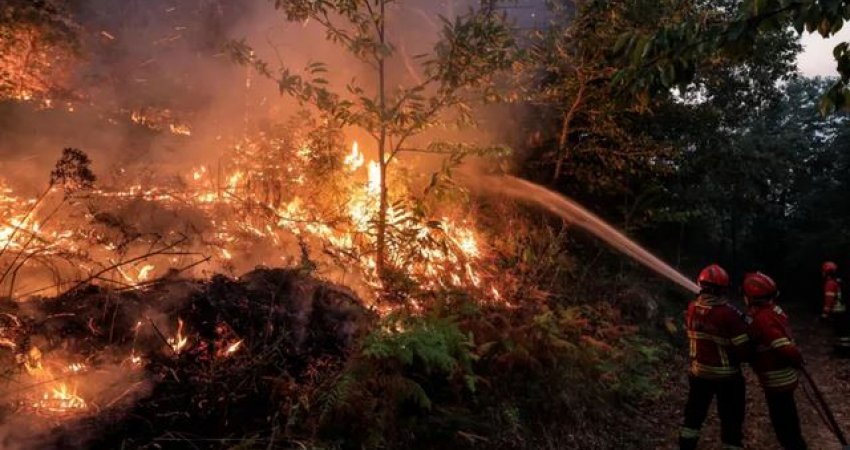 Kosova i shpreh ngushëllime Portugalisë dhe ofron ndihmë në luftën kundër zjarreve