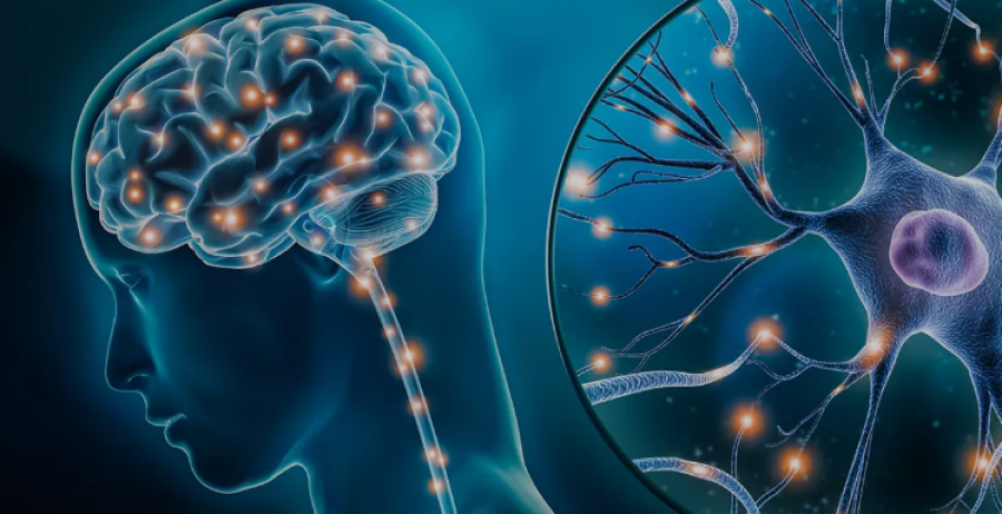 Hormoni i lumturisë/ Si të nxisni prodhimin e serotoninës në mënyrë natyrale