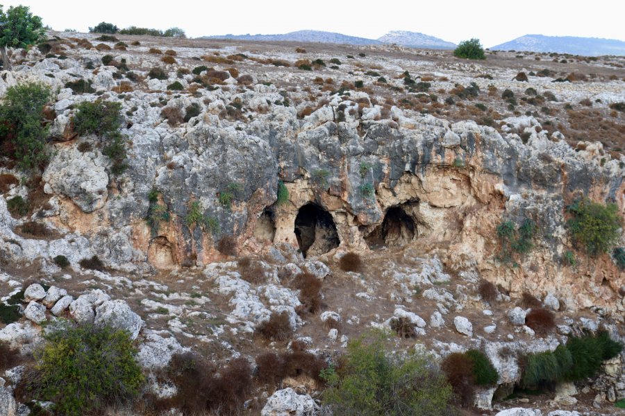 Zbardhet misteri i zhdukjes së megaxhuxhëve të lashtë