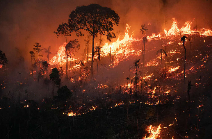 Zjarret apokaliptike në Brazil shkatërrojnë 11 milionë hektarë pyje dhe toka bujqësore, e njëjtë sa sipërfaqja e Portugalisë